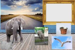 Photoshop Portfolio George Panagiotakos