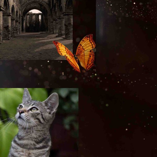 Photoshop Portfolio George Panagiotakos